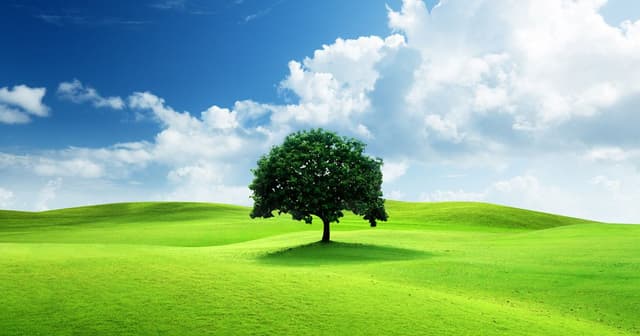 এর মধ্যে জুলাই গণ–অভ্যুত্থানের