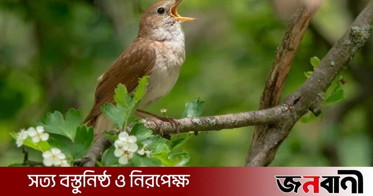 প্রধানমন্ত্রী